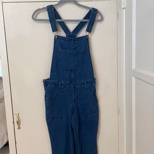 Blue Jean flare (wide leg) overalls